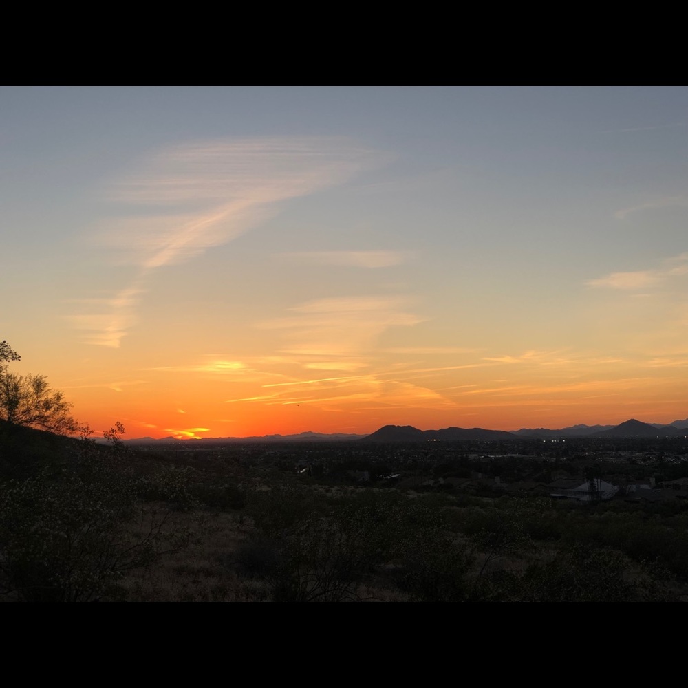 Meet your Posher, Roberta